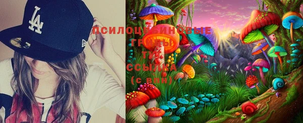 тгк Алзамай