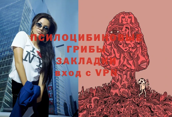 тгк Алзамай